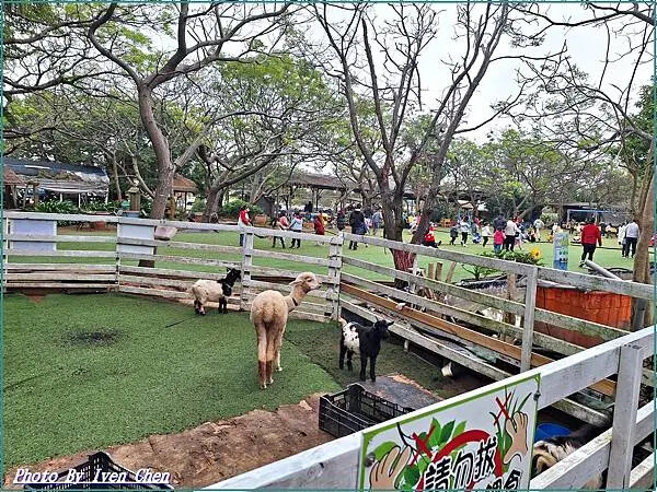 《桃園觀音休閒農場餐廳》跟著楊梅社大薩克斯風團班歡度聖誕節 