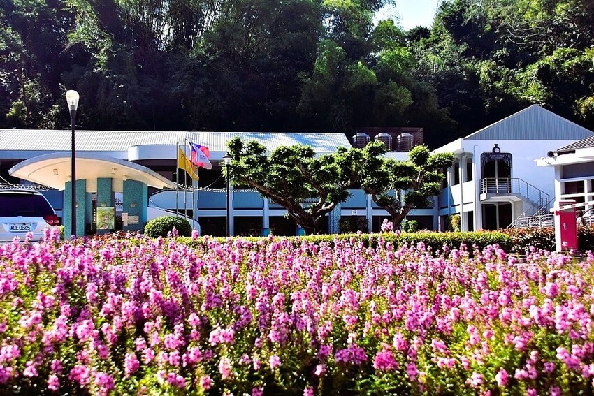 車埕鐵道觀光小學堂