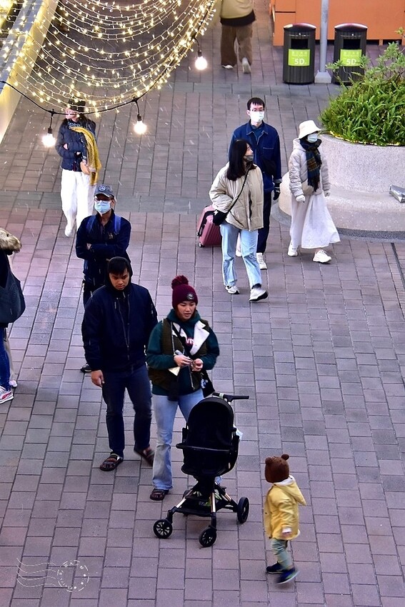 華泰名品城2024聖誕燈飾 華泰名品城2024聖誕燈飾