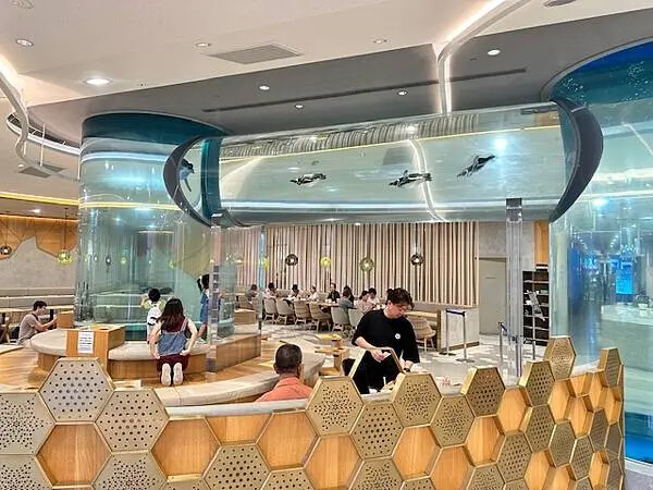 桃園Xpark水族館攻略！夢幻水母與企鵝隧道，親子必去打卡首選。