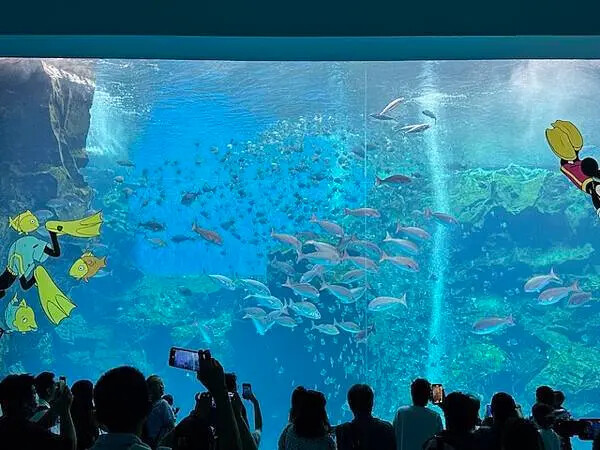 桃園Xpark水族館攻略！夢幻水母與企鵝隧道，親子必去打卡首選。
