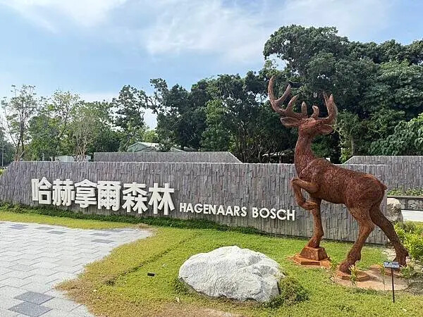 台南秘境再加一！哈赫拿爾森林走進 17 世紀古森林，造都市中的森林步道。