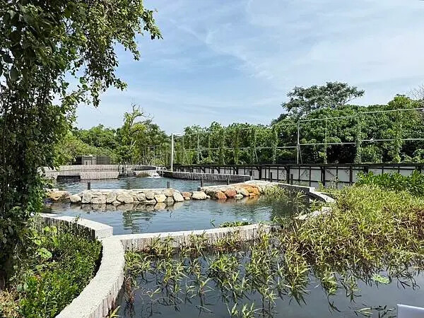 台南秘境再加一！哈赫拿爾森林走進 17 世紀古森林，造都市中的森林步道。