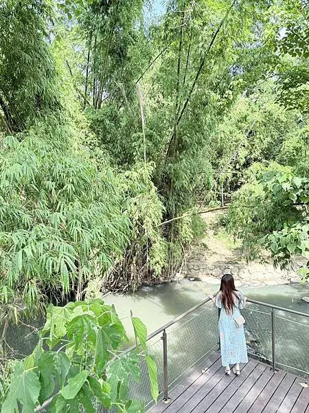 台南秘境再加一！哈赫拿爾森林走進 17 世紀古森林，造都市中的森林步道。