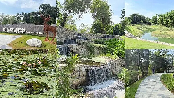 台南秘境再加一！哈赫拿爾森林走進 17 世紀古森林，造都市中的森林步道。