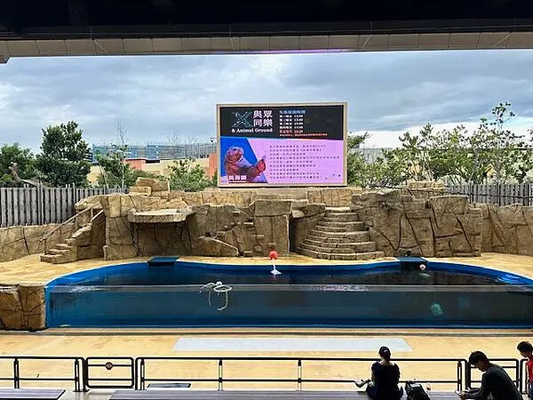 桃園Xpark水族館攻略！夢幻水母與企鵝隧道，親子必去打卡首選。