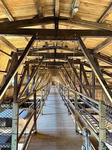 台南司法博物館必去！模擬法庭 神秘貓道與DIY拓印區一次滿足。