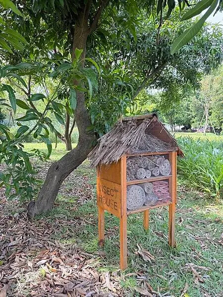 台南秘境再加一！哈赫拿爾森林走進 17 世紀古森林，造都市中的森林步道。