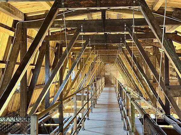 台南司法博物館必去！模擬法庭 神秘貓道與DIY拓印區一次滿足。