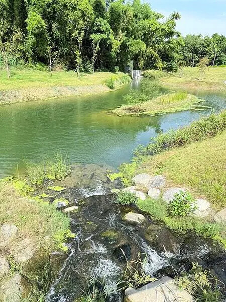 台南秘境再加一！哈赫拿爾森林走進 17 世紀古森林，造都市中的森林步道。