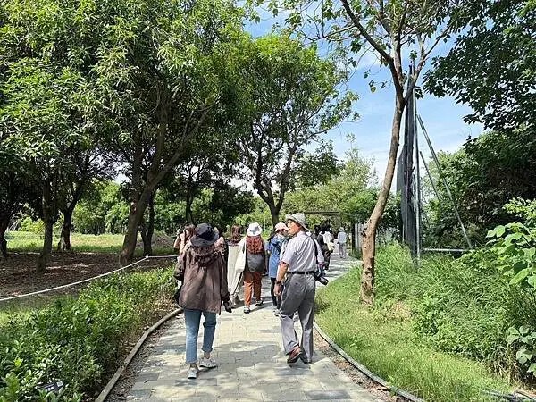 台南秘境再加一！哈赫拿爾森林走進 17 世紀古森林，造都市中的森林步道。