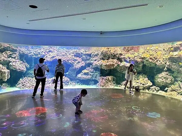 桃園Xpark水族館攻略！夢幻水母與企鵝隧道，親子必去打卡首選。