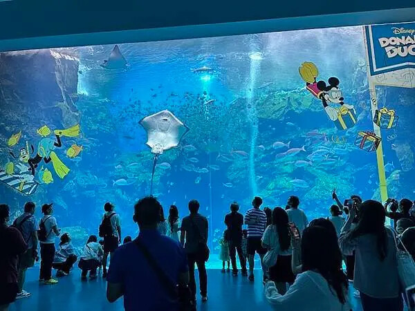 桃園Xpark水族館攻略！夢幻水母與企鵝隧道，親子必去打卡首選。