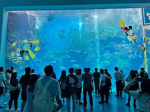 桃園Xpark水族館攻略！夢幻水母與企鵝隧道，親子必去打卡首選。