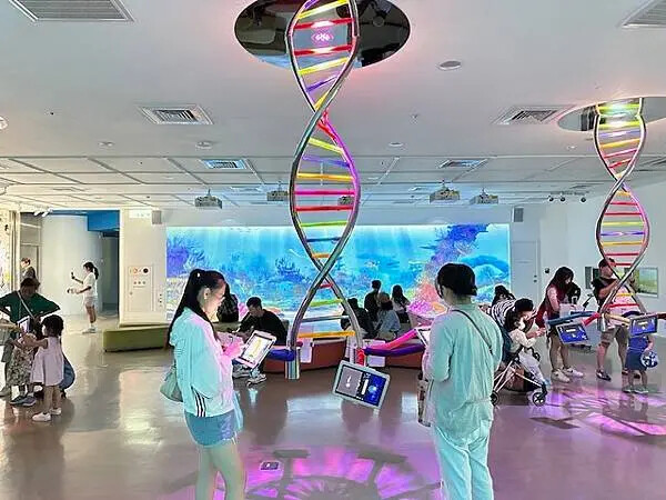 桃園Xpark水族館攻略！夢幻水母與企鵝隧道，親子必去打卡首選。