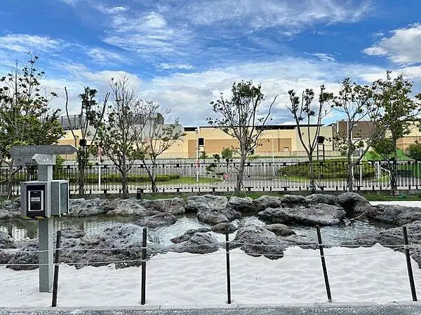 桃園Xpark水族館攻略！夢幻水母與企鵝隧道，親子必去打卡首選。