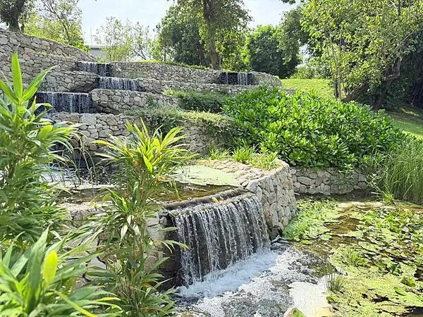 台南秘境再加一！哈赫拿爾森林走進 17 世紀古森林，造都市中的森林步道。