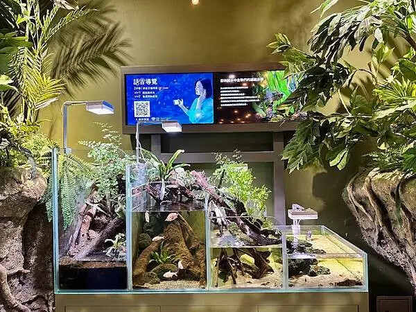桃園Xpark水族館攻略！夢幻水母與企鵝隧道，親子必去打卡首選。