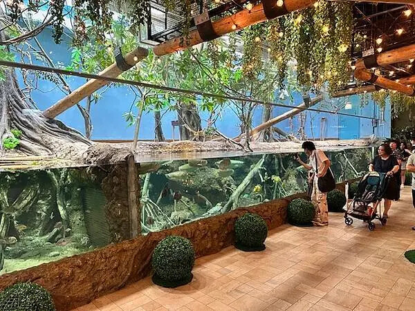 桃園Xpark水族館攻略！夢幻水母與企鵝隧道，親子必去打卡首選。