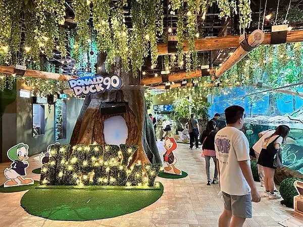 桃園Xpark水族館攻略！夢幻水母與企鵝隧道，親子必去打卡首選。