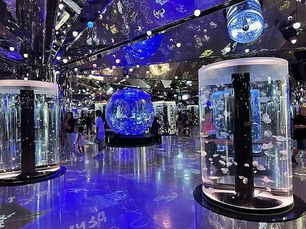 桃園Xpark水族館攻略！夢幻水母與企鵝隧道，親子必去打卡首選。