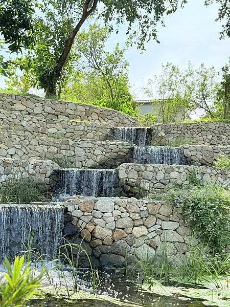 台南秘境再加一！哈赫拿爾森林走進 17 世紀古森林，造都市中的森林步道。