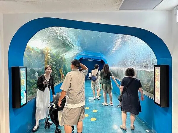 桃園Xpark水族館攻略！夢幻水母與企鵝隧道，親子必去打卡首選。