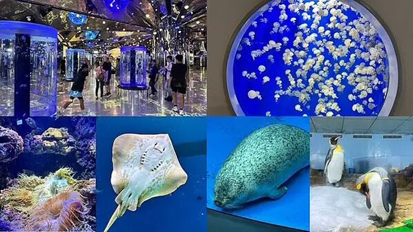 桃園Xpark水族館攻略！夢幻水母與企鵝隧道，親子必去打卡首選。