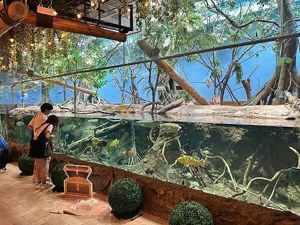 桃園Xpark水族館攻略！夢幻水母與企鵝隧道，親子必去打卡首選。