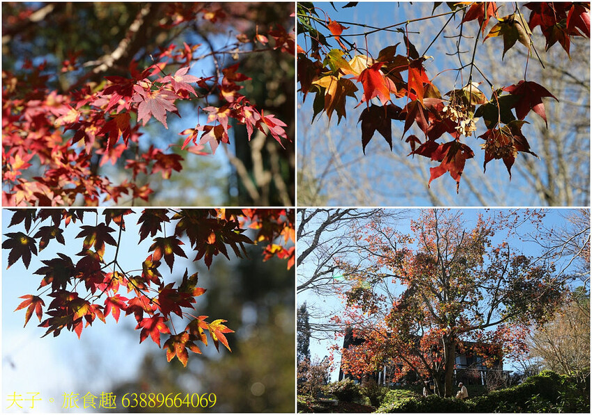 福壽山農場 國民賓館 嶄新設備 舒適大進化 福壽山農場 國民賓館 嶄新設備 舒適大進化