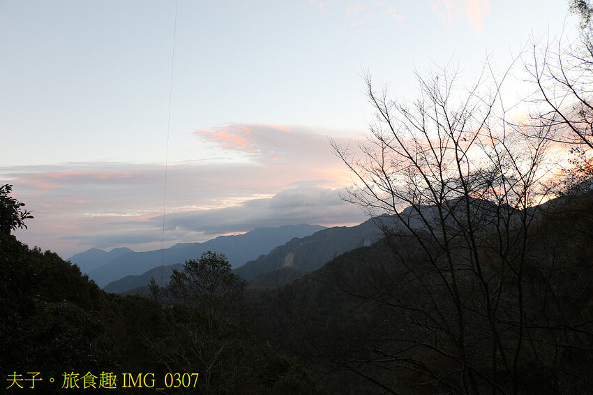 阿里山公路 鹿林神木 台灣排名第二的大神木