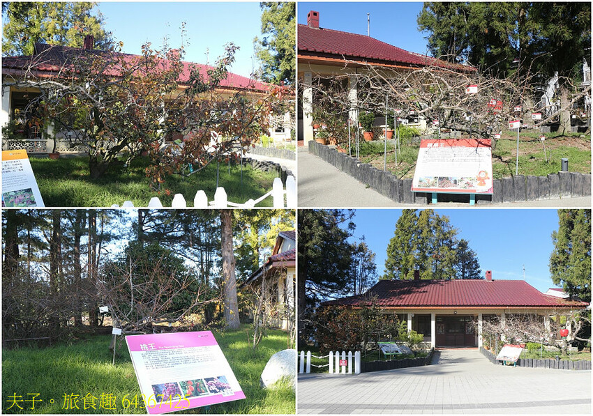 福壽山農場 國民賓館 嶄新設備 舒適大進化 福壽山農場 國民賓館 嶄新設備 舒適大進化