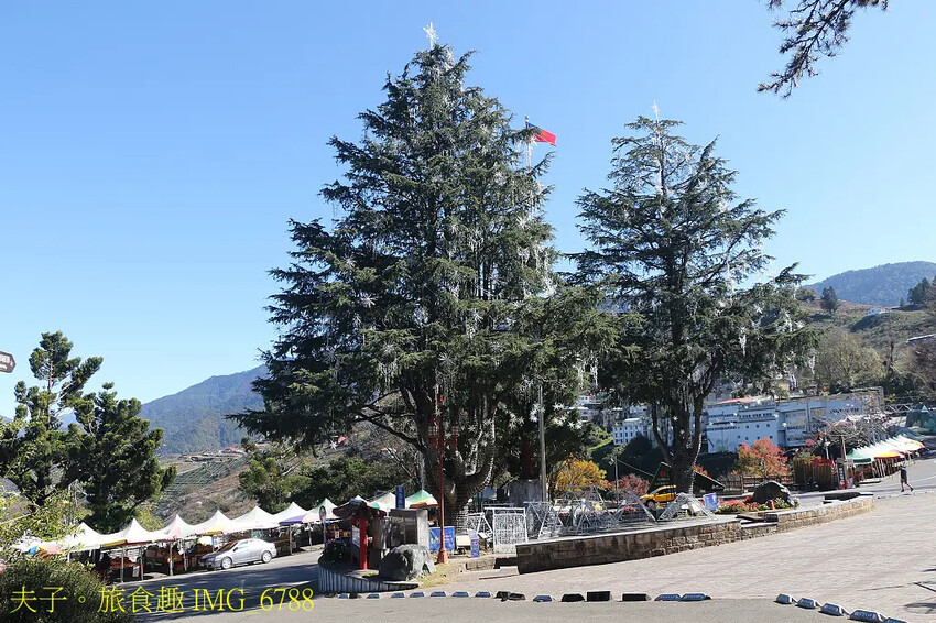 2024山谷燈光節 冬日夢幻 全國海拔最高耶誕樹在梨山