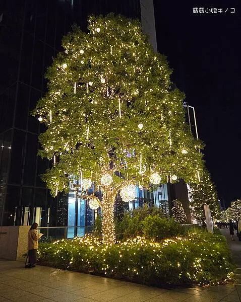 <住。名古屋>名古屋車站-車站步行10分鐘周邊美食林立~名古