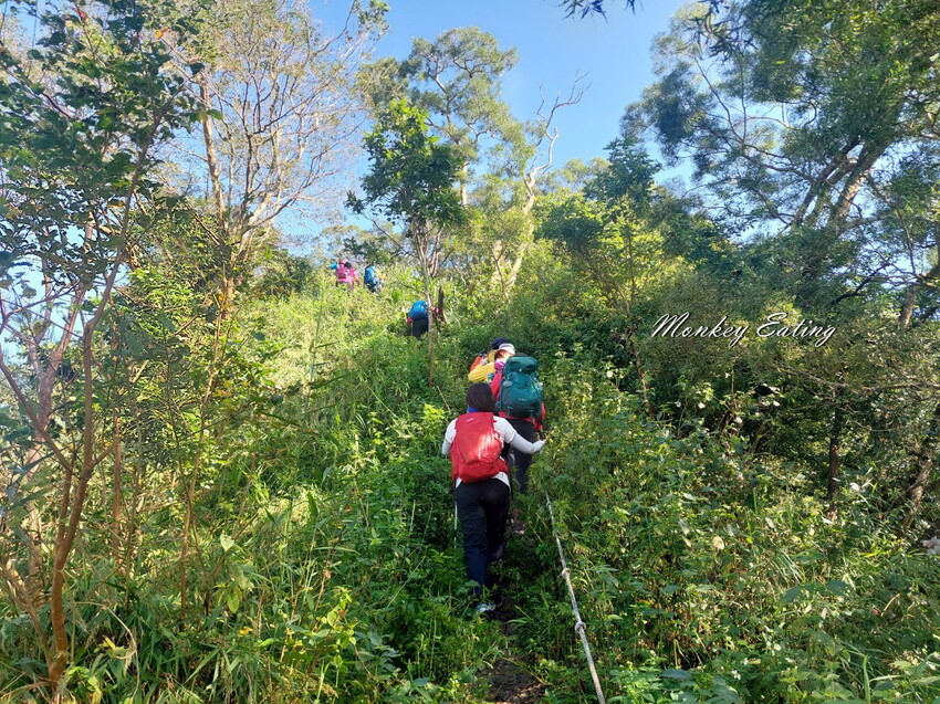 【刣牛湖山】挑戰南臺灣小百岳！台南登山秘境。順遊厚德紫竹寺，隨喜享用好吃素食齋菜，台南景點推薦 - 貪吃猴的幻想