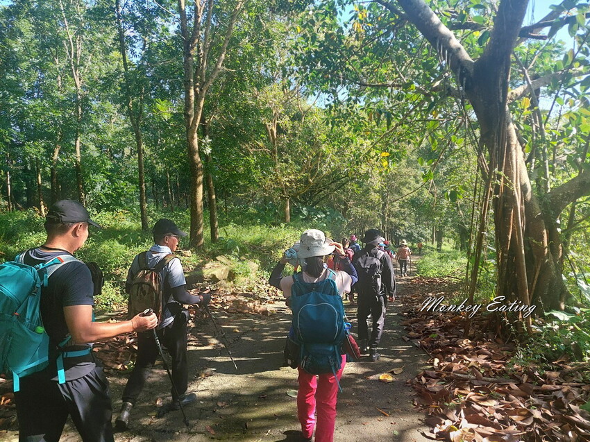 【刣牛湖山】挑戰南臺灣小百岳！台南登山秘境。順遊厚德紫竹寺，隨喜享用好吃素食齋菜，台南景點推薦 - 貪吃猴的幻想