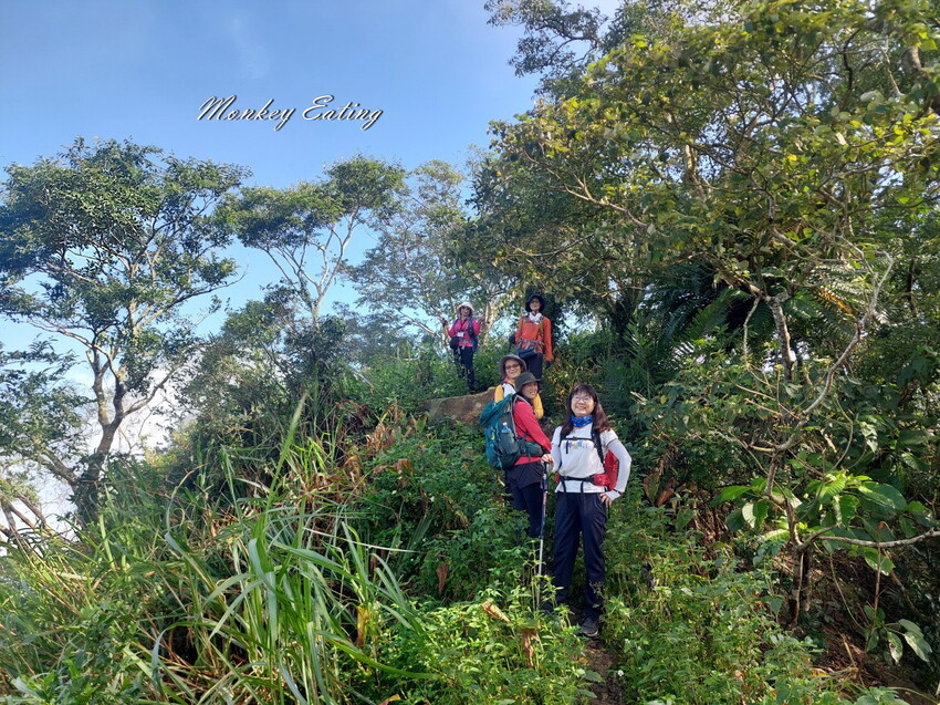 【刣牛湖山】挑戰南臺灣小百岳！台南登山秘境。順遊厚德紫竹寺，隨喜享用好吃素食齋菜，台南景點推薦 - 貪吃猴的幻想