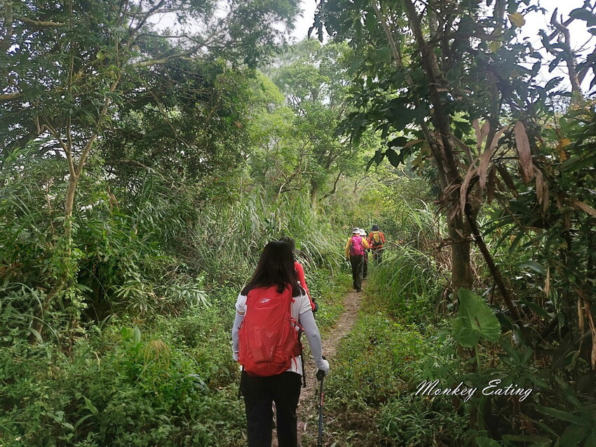 【刣牛湖山】挑戰南臺灣小百岳！台南登山秘境。順遊厚德紫竹寺，隨喜享用好吃素食齋菜，台南景點推薦 - 貪吃猴的幻想