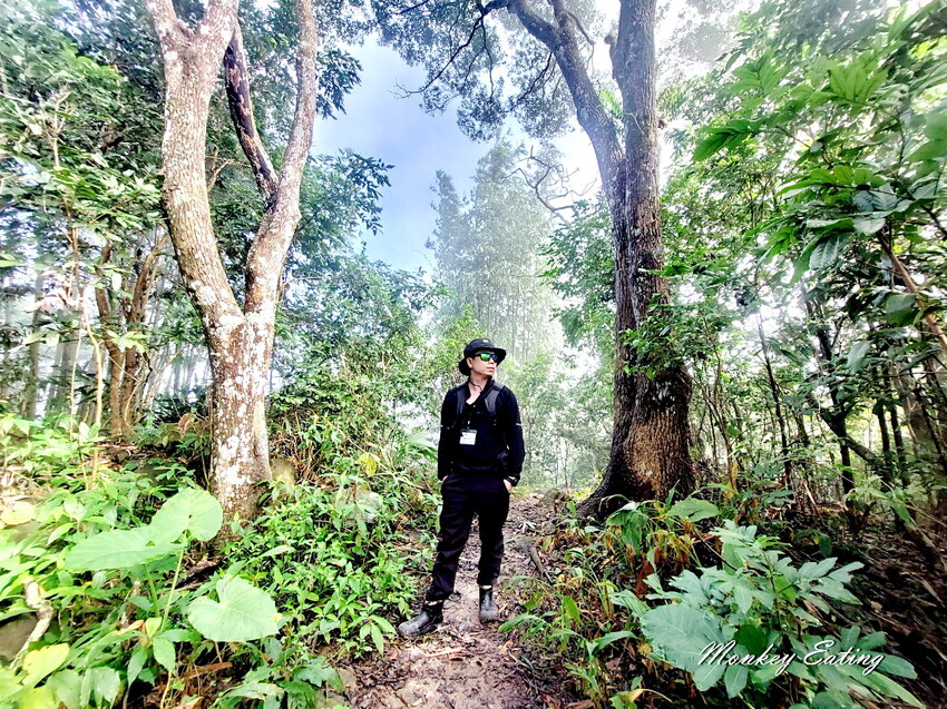 【刣牛湖山】挑戰南臺灣小百岳！台南登山秘境。順遊厚德紫竹寺，隨喜享用好吃素食齋菜，台南景點推薦 - 貪吃猴的幻想
