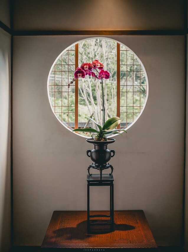 平溪精華深度一日遊:探索孝子山、美食、天燈與古美術