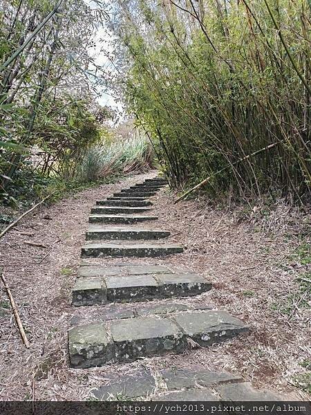 北投陽明山登山步道／中正山步道，中正山停車場至第一登山口，觀