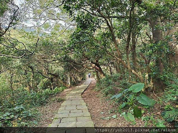 北投陽明山登山步道／中正山步道，中正山停車場至第一登山口，觀