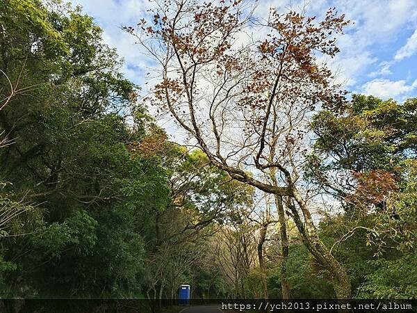 北投陽明山登山步道／中正山步道，中正山停車場至第一登山口，觀