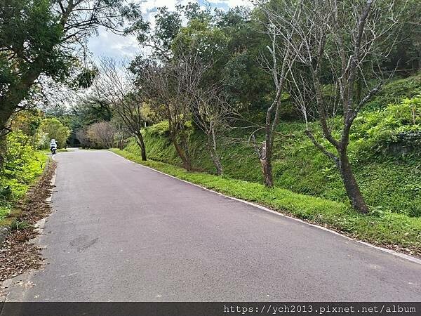 北投陽明山登山步道／中正山步道，中正山停車場至第一登山口，觀