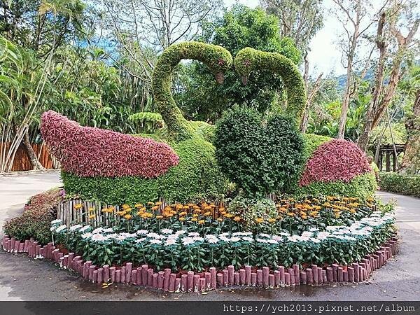 2024士林官邸菊展－菊伴動物派對／全區延長開放到晚上九點，