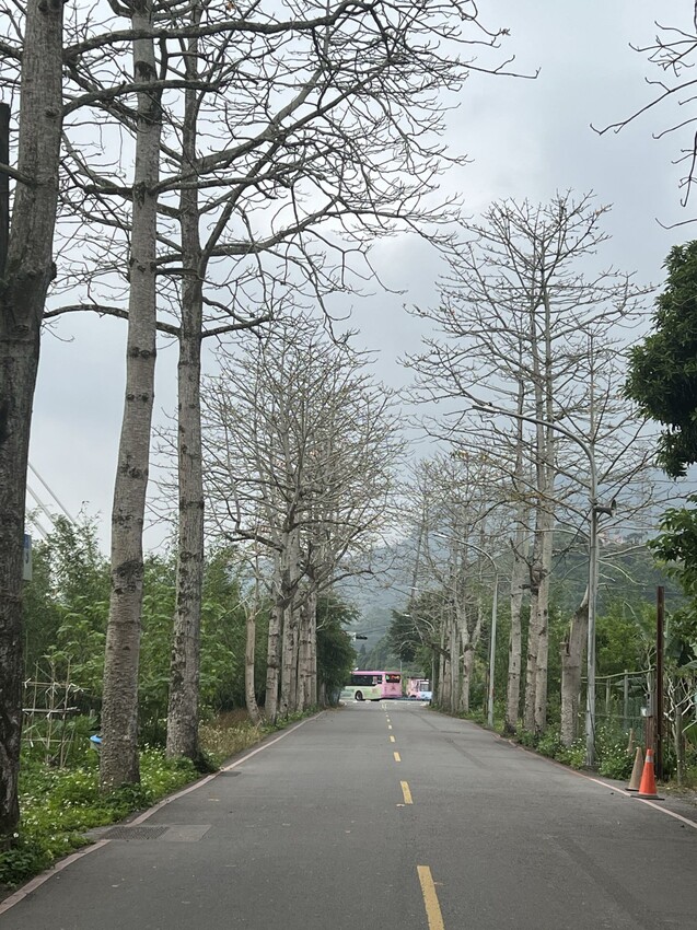 新北市深坑半日遊:深坑老街、深坑木棉花道。午餐Arc Cafe