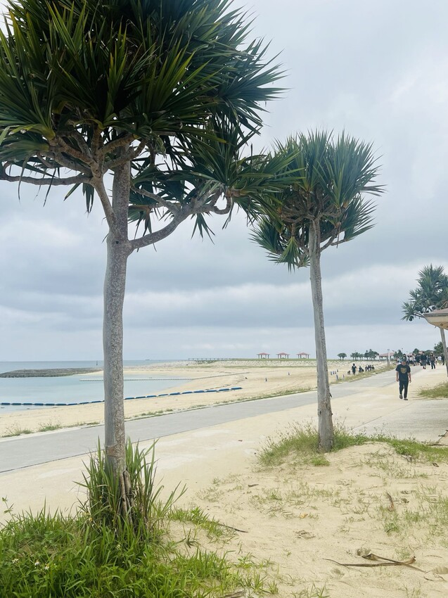 iias 沖繩豐崎:那霸機場附近購物中心。豐崎美麗陽光海濱。還可觀看一架架飛機降落。瀬長島龍神の湯泡溫泉賞夜景以及桑拿浴