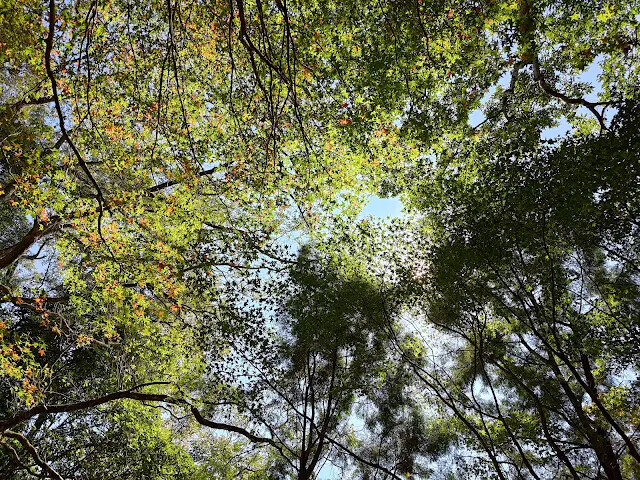 拱北殿 - 後山步道