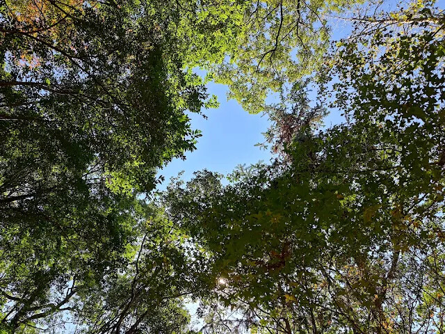 拱北殿 - 後山步道