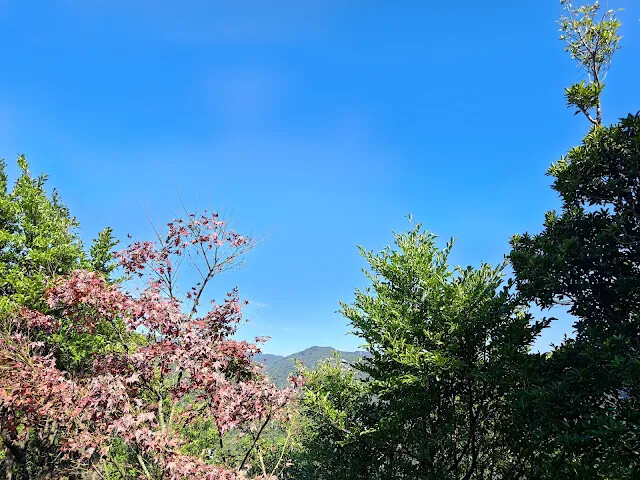 拱北殿 - 後山步道 - 楓葉 - 仙丹亭